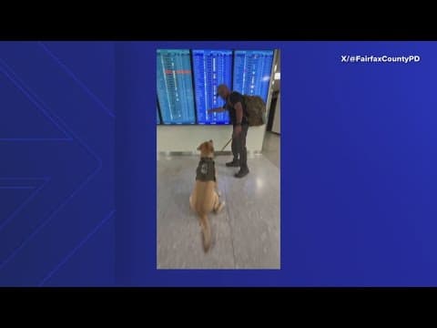 Fairfax Police K9 heads to the Olympics