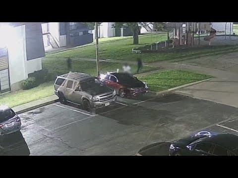 Dallas police release surveillance video of fatal shooting
