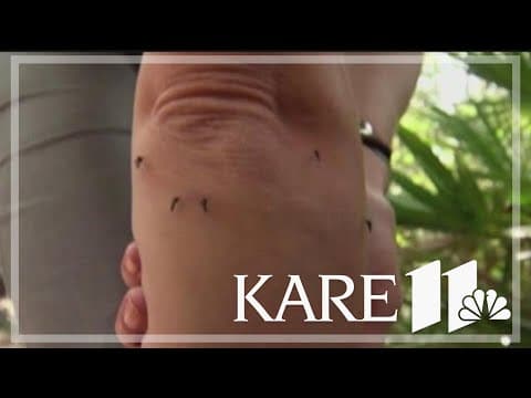 Here's how to most effectively repel mosquitoes, avoid bites this summer