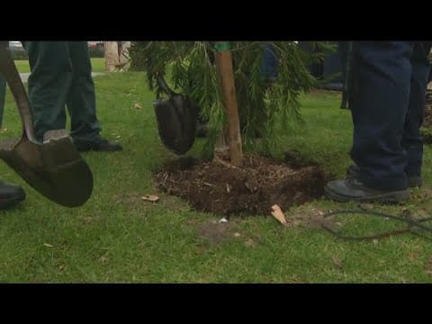 Multiple local and state agencies hold tree planting event to ‘increase beauty of parks’