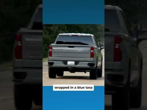 TikTok Creator Booked for Murder