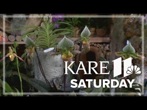 Spring Flower Show now in bloom at the Minnesota Landscape Arboretum