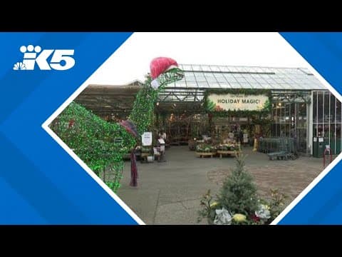 Swansons Nursery celebrating 100 years in business