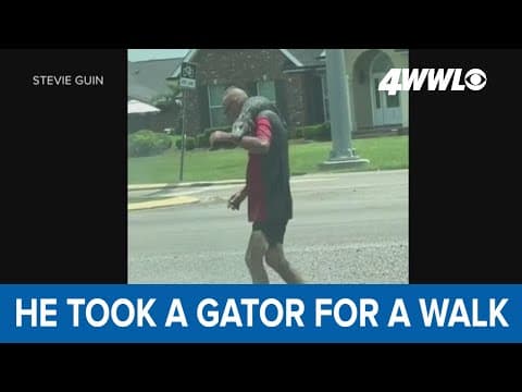 Thibodaux man walking down street carrying alligator goes viral