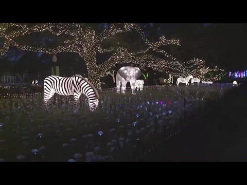 Houston Zoo Lights 2024