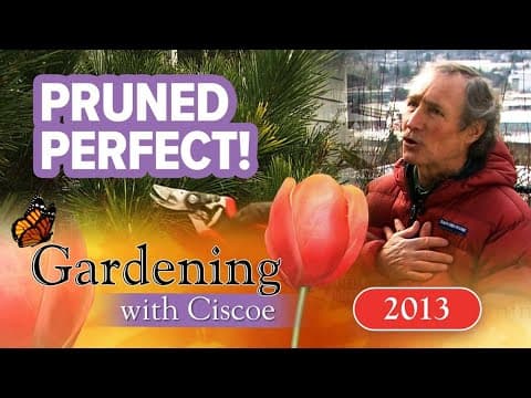 PRUNED PERFECT! To Snip or Not To Snip? | Gardening With Ciscoe | Full Episode