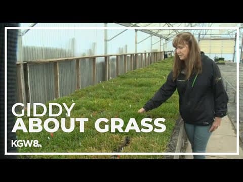 Oregon company plays major role in creation of turf for World Cup matches