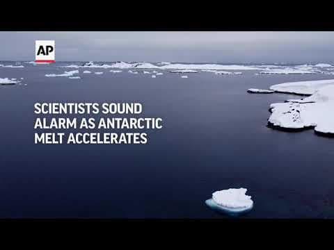 Scientists sound alarm on global consequences as Antarctic ice melt accelerates
