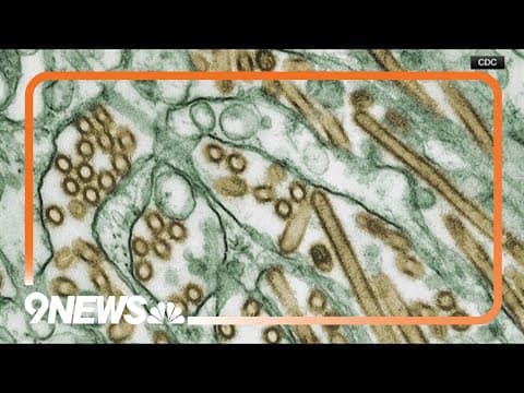 Health officials confirm country's first bird flu-related human death