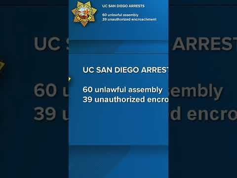 Protesters at UC San Diego face a shortlist of misdemeanor charges