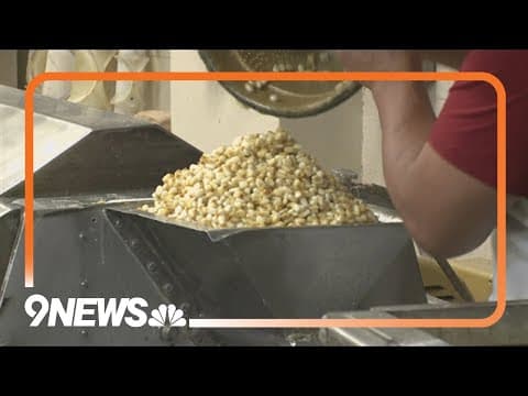 The historical and cultural context behind corn among Hispanic communities