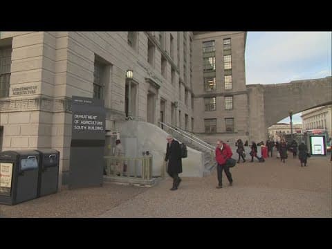 Federal workers at crossroads over Trump's buyout offer