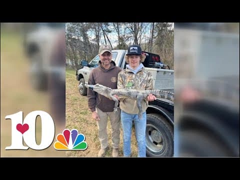 Family interviewed who found 3-foot long alligator caught in Norris Lake