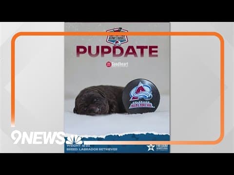 Colorado Avalanche introduce their first team dog