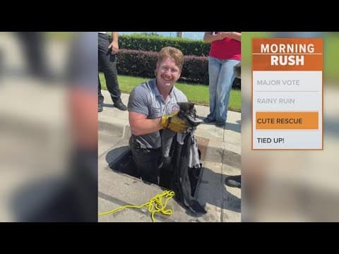 Kitten rescued from storm drain in Burleson, Texas