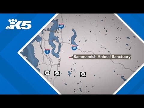11 bunnies die in fire at Sammamish Animal Sanctuary