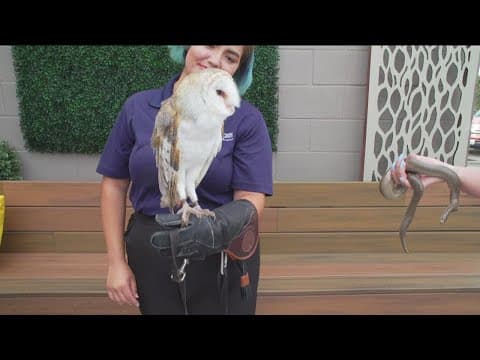 Farm to Bay | Living Coast Discovery Center Fundraiser Saturday