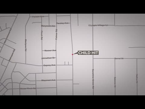 11-year-old dies after being hit by car on walk home from bus stop, officials say