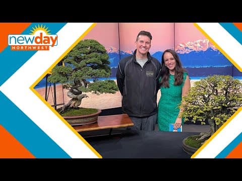 Exploring the beauty of bonsai - New Day NW