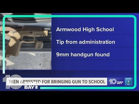 14-year-old arrested for bringing gun to Hillsborough school