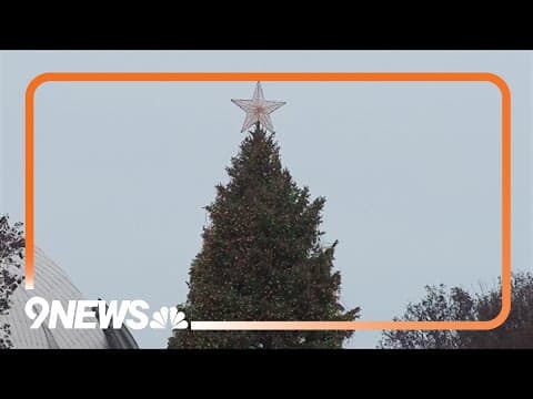 How to cope with heartache during the holidays