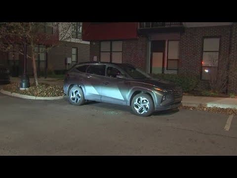 Police: At least 30 cars broken into at Italian Village apartments