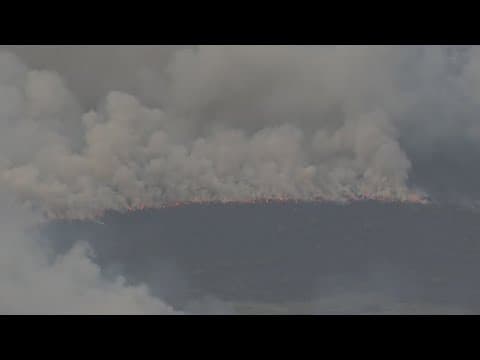 Large wildfire in Brazoria County 80% contained