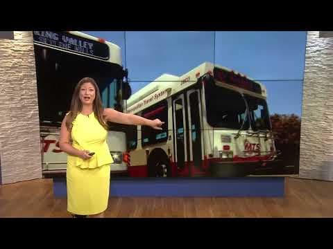 Working For Our Planet | Get out of your driving routine and use public transportation