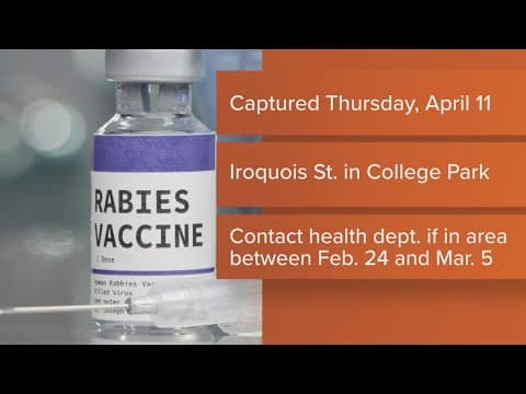 Rabid raccoon found in College Park tests positive for rabies