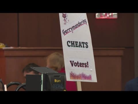 What do lawmakers and voters think of Texas' proposed congressional districts?