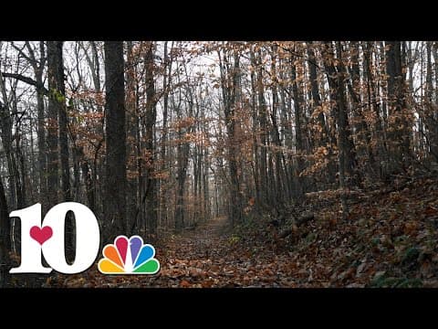 Nature Sounds: Hootin Hollow Trail at Norris Dam State Park