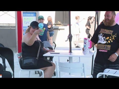 Food and fun at the Indiana State Fair