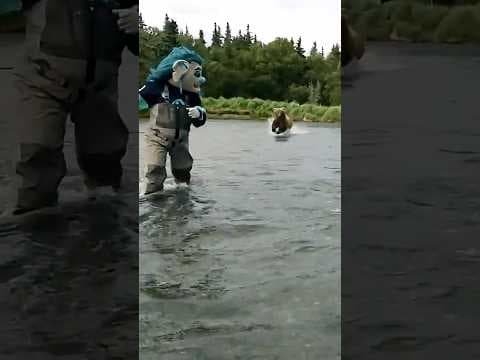 Kraken mascot has close call with wild bear