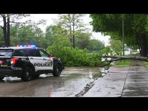 Storm uproots tree that's blocking West 43rd Street in NW Houston