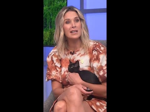 Meet Aura and Zara: The Kitten Sisters!