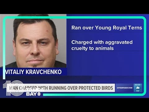 Police: Man charged with speeding through a group of protected shore birds