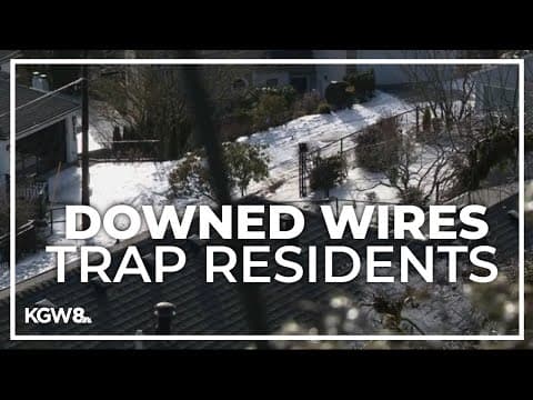 Some southwest Portland residents trapped inside after fallen tree, power wires