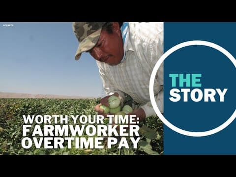 Will Oregon's overtime law end up costing farmworkers?