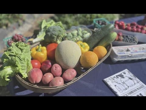 Local farmers deliver fresh 'produce boxes' to your door weekly for 29 dollars