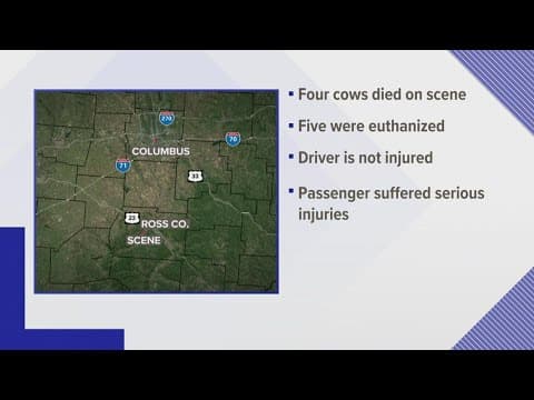 Man injured, 9 cows die after Ross County crash