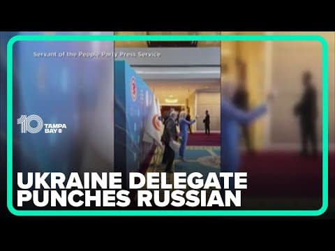 Ukraine delegate punches Russian at Black Sea nations assembly
