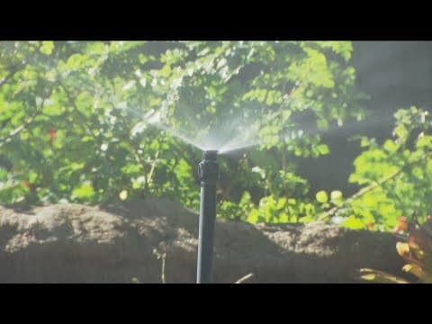 California's Water Board eyeing new water-saving regulations statewide