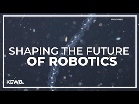 Tiny jelly sea creatures may help world of robotics