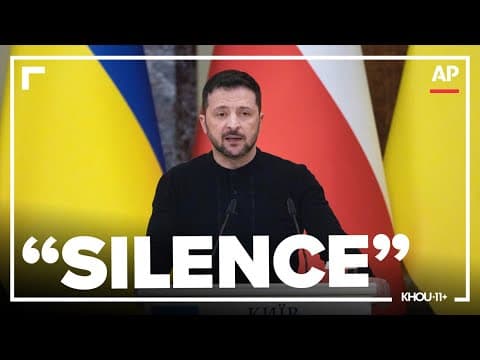 Zelenskyy accuses Putin of 'silence' in face of ceasefire proposal