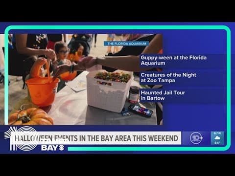 Here are some Halloween events happening in the Bay area this weekend