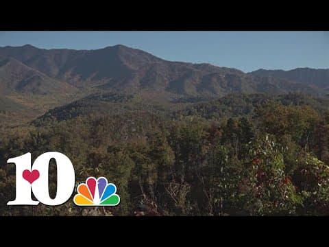 The fall foliage you can enjoy in the Smoky Mountains