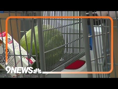 Colorado food bank sees unprecedented demand for emergency food boxes