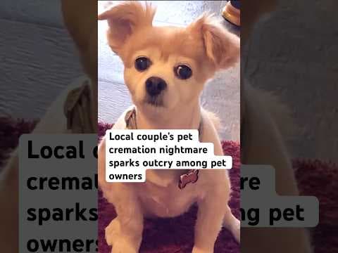 local couple receives pet’s ashes from cremation company months later, others continue to wait