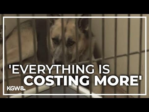 Humane Society for Southwest Washington hit hard by inflation