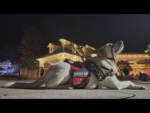 Nonprofit pairing wounded military veterans and first responders with dogs